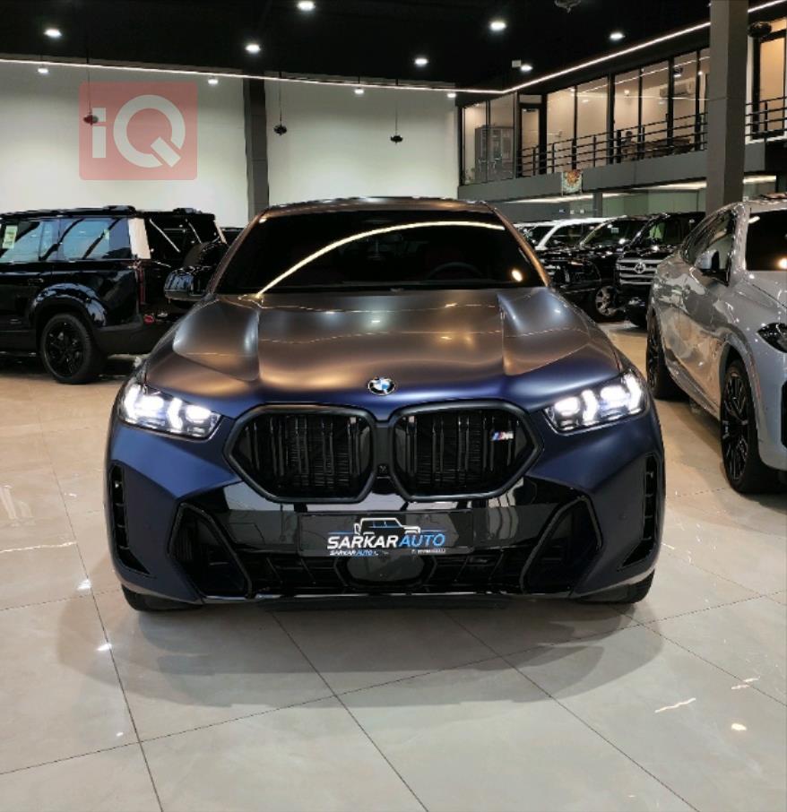 BMW X6